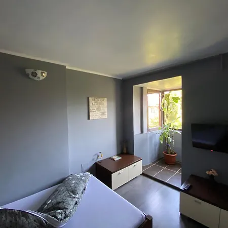 Apartment Comfort Home Apartment 2 Petrosani