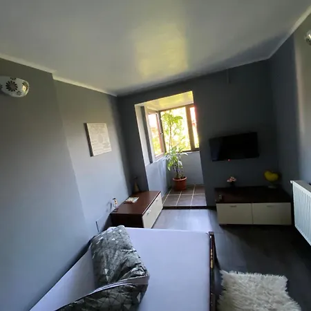 Comfort Home Apartment 2 Apartment
