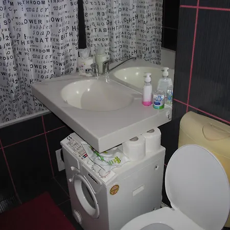 Comfort Home Apartment 2 * Petrosani
