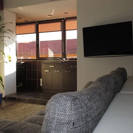 Comfort Home Apartment 2 Petrosani