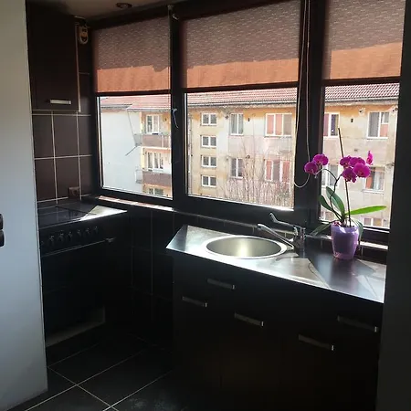 Comfort Home Apartment 2 Petrosani
